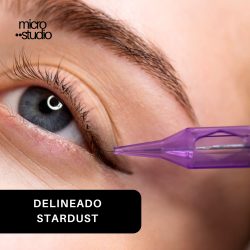 DELINEADO-STARDUST
